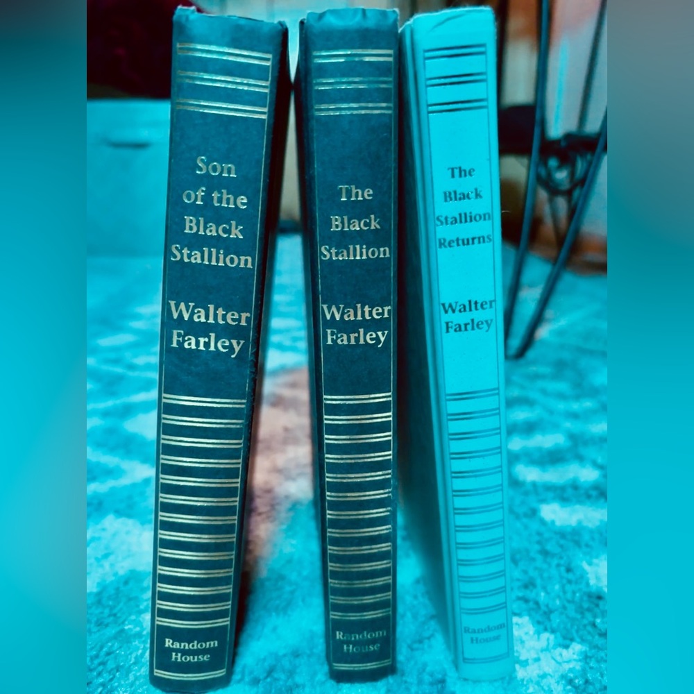 The Black Stallion book set